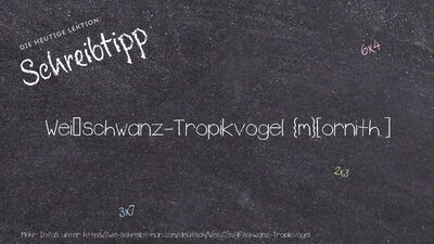 Schreibtipp Weißschwanz-Tropikvogel