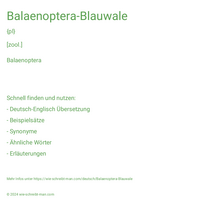 Balaenoptera-Blauwale