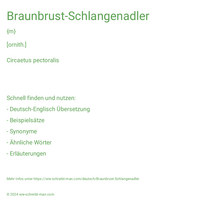 Braunbrust-Schlangenadler