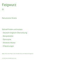 Feigwurz