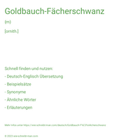 Goldbauch-Fächerschwanz