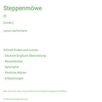 Steppenmöwe