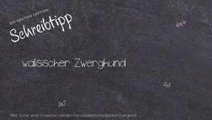 Wie schreibt man walisischer Zwerghund? Bedeutung, Synonym, Antonym & Zitate.