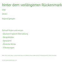 hinter dem verlängerten Rückenmark