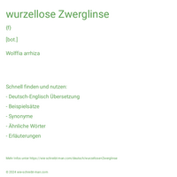 wurzellose Zwerglinse