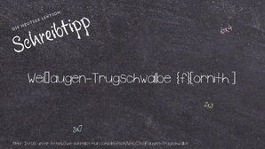 Wie schreibt man Weißaugen-Trugschwalbe? Bedeutung, Synonym, Antonym & Zitate.