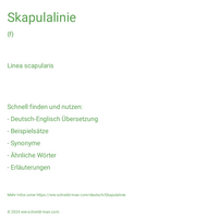 Skapulalinie