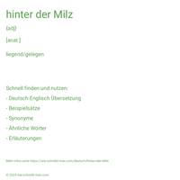 hinter der Milz