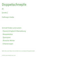 Doppelschnepfe