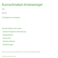 Kurzschnabel-Ameisenigel