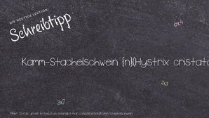 Wie schreibt man Kamm-Stachelschwein? Bedeutung, Synonym, Antonym & Zitate.