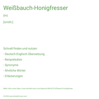 Weißbauch-Honigfresser