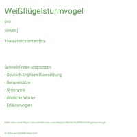 Weißflügelsturmvogel