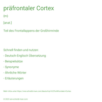 präfrontaler Cortex